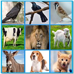Cover Image of Télécharger Animals and Birds Sounds for fun 5.0 APK