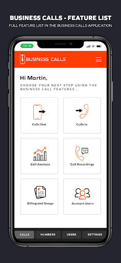 Business Calls Screen 2