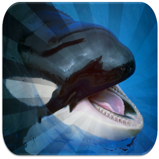 Killer Whales Sounds 458 Icon