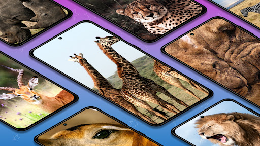 Android application Wild Africa animals themes screenshort