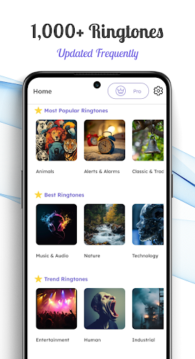 Loud Ringtones  Alarms Tone