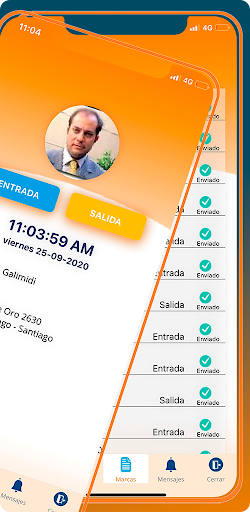 HGV Asistencia y Teletrabajo Screen 2