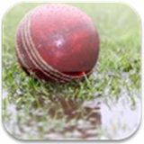 DL Calculator for Cricket icon