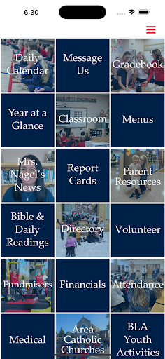 St Francis Catholic School MN ekran görüntüsü