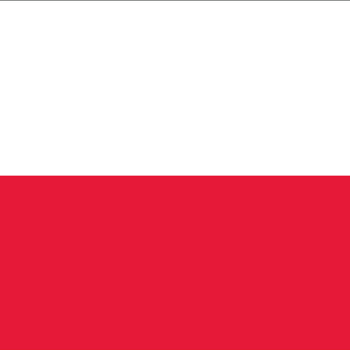 Polish-English Dictionary logo