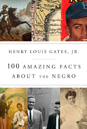 Icon image 100 Amazing Facts About the Negro