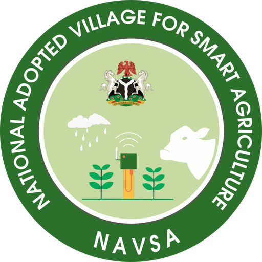 NAVSA More logo
