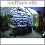 Aquarium Ideas (offline) icon