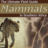 Ultimate Mammals Africa icon