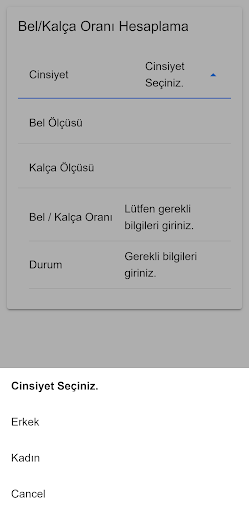 Bel/Kalça Oranı Hesaplama Screen 2