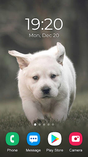 Dog Wallpaper 2023 Screen 2
