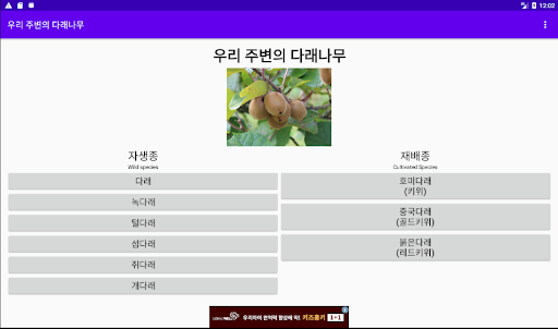 우리 주변의 다래나무 Screen 2