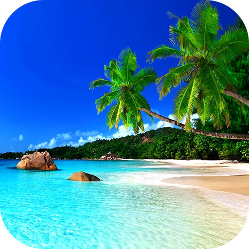 Summer Wallpaper 2025 Header - AppWisp.com