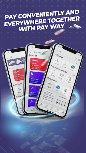 PayWay - transfers to CIS Screen 2
