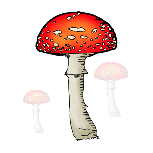 Mushroom Field Puzzle