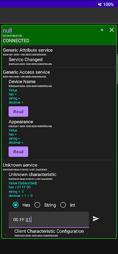 Bluetooth Developer Companion Screen 2