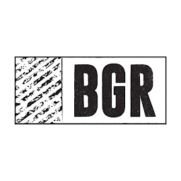 BGR - The Burger Joint: Download & Review