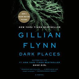 Obraz ikony: Dark Places: A Novel