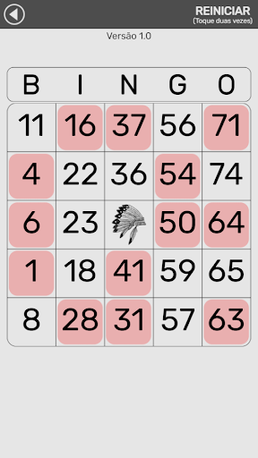 Libre Bingo Screen 3