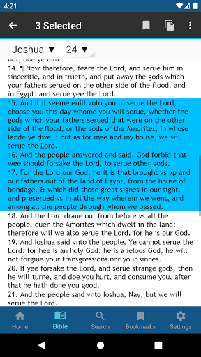 1611 KJV Bible Screen 2