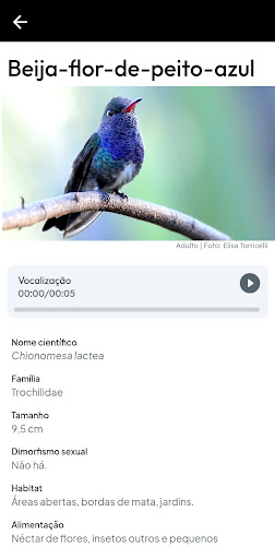 Guia de Aves da Reg Bragantina Screen 3