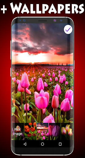 Tulips Lock Screen Screen 3