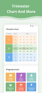 Pregnancy App Screenshot