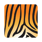 Cover Image of Download Asset Tiger  APK