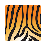 Asset Tiger icon