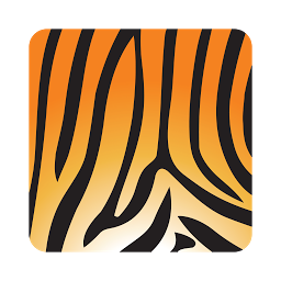 Asset Tiger: Download & Review