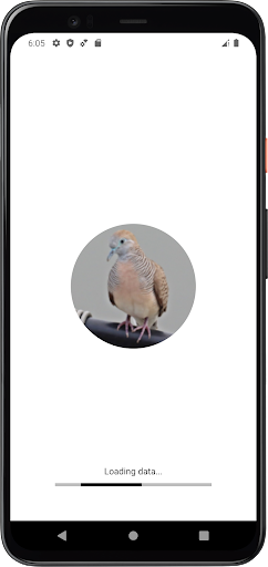 Android application Zebra Dove Sounds screenshort