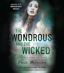 Icon image The Wondrous and the Wicked