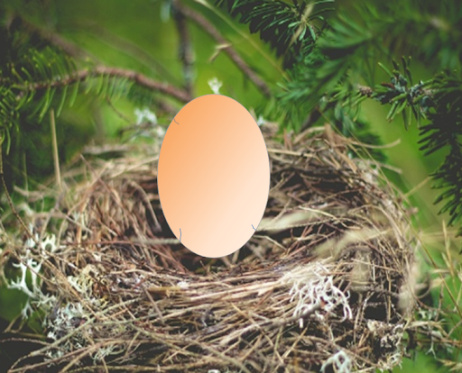 Break Egg Screen 2