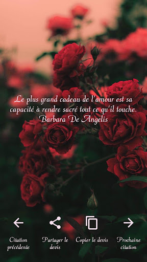 Updated 12 Citations Sur Lamour Citations Damour Alternative Apps Mod 22