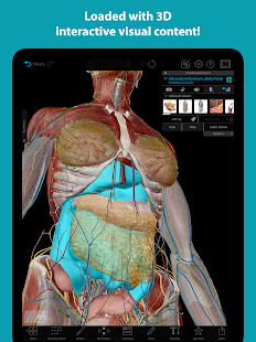 Human Anatomy Atlas 2022＋