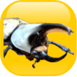 Puzzles and beetles