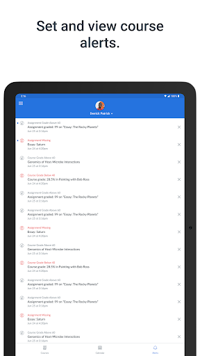 Screenshot of Canvas Parent