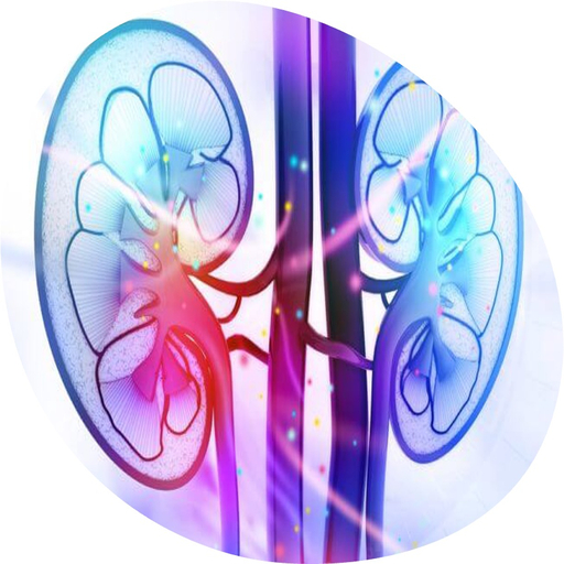 AKIC -Acute Kidney Injury Care 1.0.0 Icon