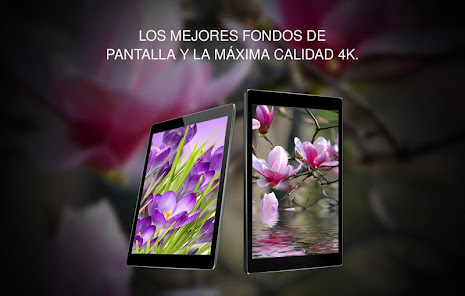 Imágen 6 Fondos Primavera android