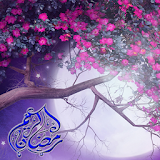 ramadan beautiful Lwp icon