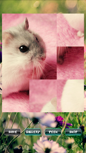 Android application Hamster Pet Puzzles screenshort