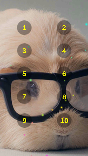 Android application Guinea Pig Sounds screenshort