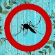 Ärgerlicher Mückenton Auf Windows herunterladen