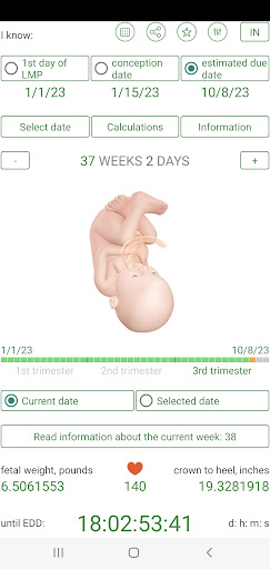 Pregnancy Due Date Calculator