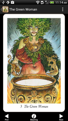Screenshot of Wildwood Tarot