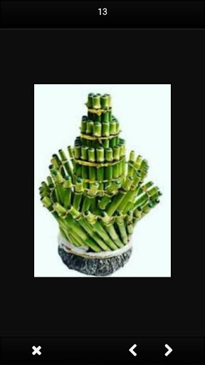 bamboo hockey Screenshot 1 - AppWisp.com