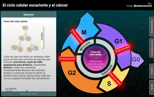 Android application El ciclo celular eucarionte y screenshort
