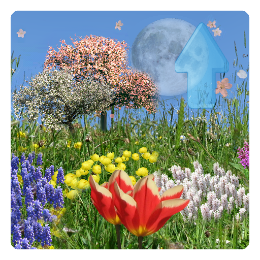 Spring Flowers Live Wallpaper 2.8 Icon