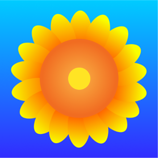 Sunflower Browser  Icon