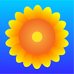 Sunflower Browser Apk